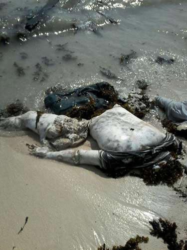 Yémen: le massacre contre les pêcheurs d’al-Hadida, nouvelle preuve de la barbarie saoudienne.