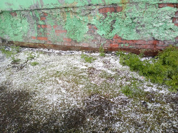 L’été sous la neige en Russie.