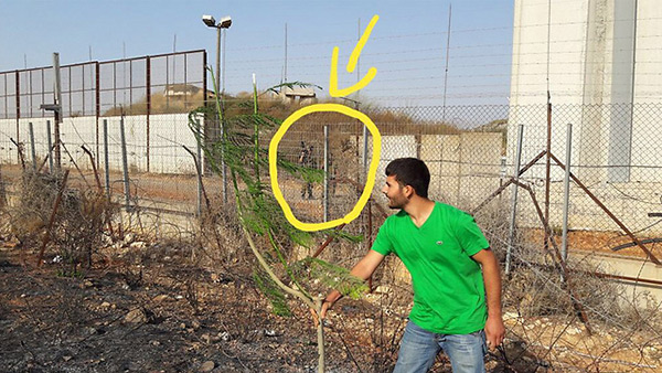 Au Liban-Sud, le Hezbollah plante des arbres sous le nez des soldats israéliens.