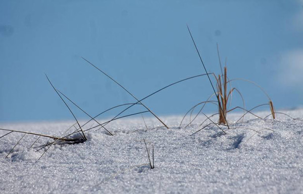 La neige tombe au Sahara… des images à couper le souffle.