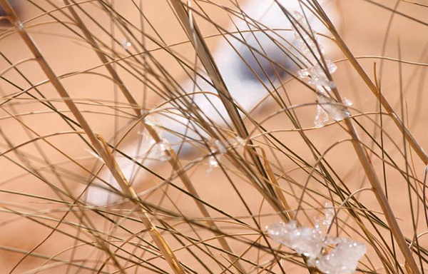 La neige tombe au Sahara… des images à couper le souffle.