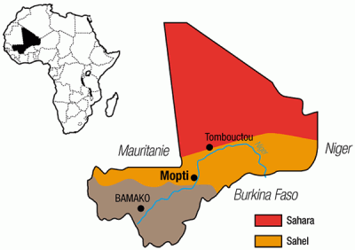 Quelques faits révélateurs à propos de la guerre au Mali