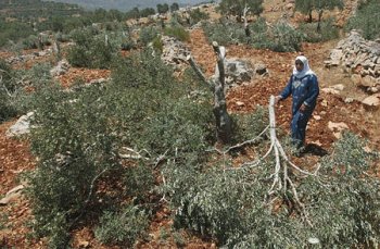 Jérusalem-Est et Cisjordanie occupés: Europe et Etats-Unis haussent le ton