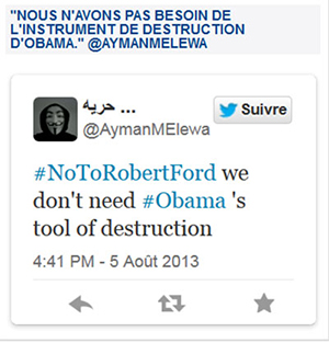 Sur Twitter, les Égyptiens attaquent le diplomate américain Robert Ford