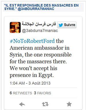 Sur Twitter, les Égyptiens attaquent le diplomate américain Robert Ford