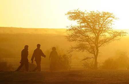 Niger: 87 cadavres de migrants retrouvés