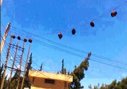 La «démocratie» des «rebelles» en Syrie : des têtes coupées et accrochées sur les fils électriques