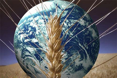 La sécurité alimentaire et le projet d'extermination totale