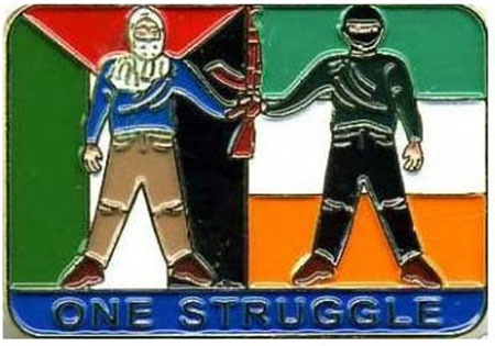 Le Parlement irlandais a voté en faveur de la reconnaissance d'un État palestinien