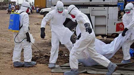 Ebola: plus de 8.100 morts dans le monde.