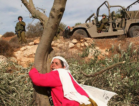 Journée de la terre… la Palestine est la première qibla au plein gré des arabes. Journée de la terre… la Palestine est la première qibla au plein gré des arabes