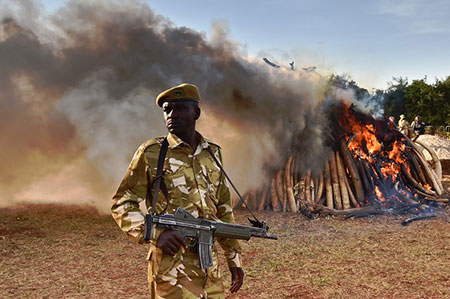 Kenya: 14 morts dans un raid attribué aux shebab.