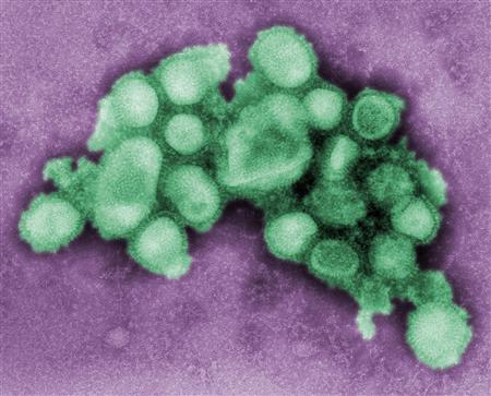 Premier décès dû à la grippe A (H1N1) signalé en Iran (Reuters)