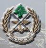 L’armée Libanaise démantèle avec la collaboration de la Résistance deux engins israéliens d’espionnage 