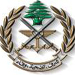 Liban: Les services de renseignements de l’armée déjouent une opération de contrebande d’armes vers la Syrie