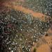 La famine ravage la Somalie