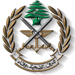 Démantèlement d’une cellule salafiste au Liban : l’armée visée
