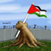 En Cisjordanie occupée, les palestiniens se préparent pour commémorer la Journée de la Terre…