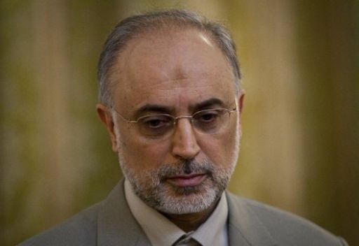 Salehi : La Syrie paie le prix fort pour son soutien à la résistance et à la Palestine