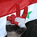 La prétendue « révolution syrienne », entre les investissements des uns et les illusions des autres
