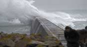 La tempête Dirk balaye la France et la Grande-Bretagne: des victimes et des dégâts
