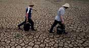 La région Asie-Pacifique sous la menace de pénuries alimentaires
