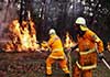 Incendies de brousse hors de contrôle dans le sud de l’Australie