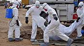 Ebola: plus de 8.100 morts dans le monde
