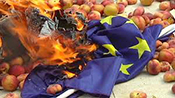 Les agriculteurs allemands durement touchés par l’embargo russe