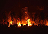 Chine: au moins 44 morts dans les gigantesques explosions de Tianjin