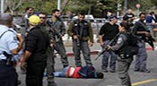 Pour une majorité d’Israéliens, les Palestiniens doivent être «abattus sur le coup»
