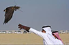 Irak: 26 personnes enlevées lors d’une partie de chasse qatarie 