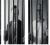 Des #parlementaires européens posent derrière des barreaux pour évoquer la situation des #prisonniers #palestiniens