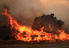 #Espagne: un #feu provoque l’#évacuation d’un millier de personnes