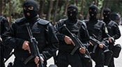 Onze membres du groupe terroriste «Daech» arrêtés en Iran
