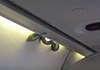Un #vol d’#Emirates annulé à cause d’un #serpent