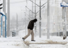 La #vague de froid en #Europe a fait au moins 65 #morts
