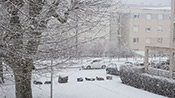 L’Europe sous la neige, des milliers de foyers sans courant en France
