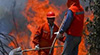 #Chili: les #feux de #forêt ont fait six morts et ravagé 190.000 hectares