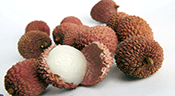 Les litchis en Inde tuent chaque année des centaines d’enfants

