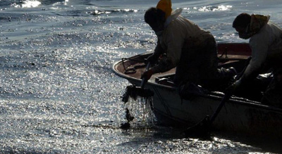  Un Philippin secouru après avoir dérivé 56 jours en mer