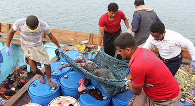 Attaque au large du Yémen: des rescapés racontent

