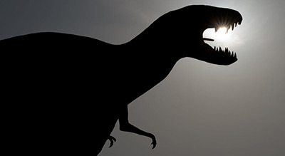 Des œufs de dinosaures découverts en Argentine par un berger
