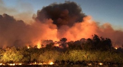  Près de 9000 maisons évacuées en #Floride à cause d’incendies de forêt