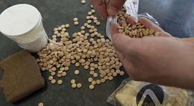 Un laboratoire produisant la «drogue des extrémistes» démantelé aux Pays-Bas

