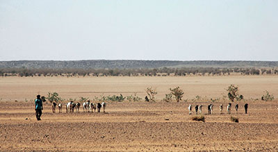 #Niger: 44 migrants dont des bébés retrouvés morts dans le désert