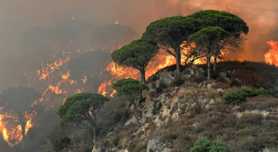 L’Italie toujours la proie des flammes
