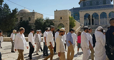 Des dizaines de colons envahissent la mosquée #al-Aqsa 