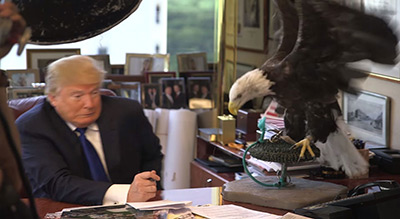 Fusillade en Floride: Trump assure qu’il aurait, «même sans arme», agi contre le tireur
