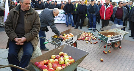 Les agriculteurs allemands durement touchés par l'embargo russe